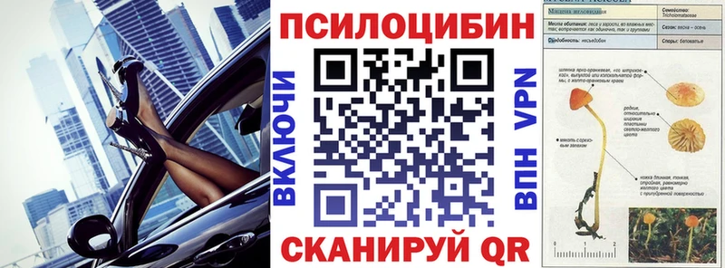 Псилоцибиновые грибы мицелий  Купить  Карталы 